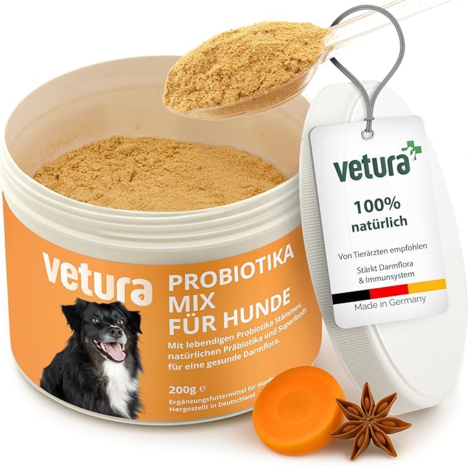 NATIVIVO Zahnpflege Pulver